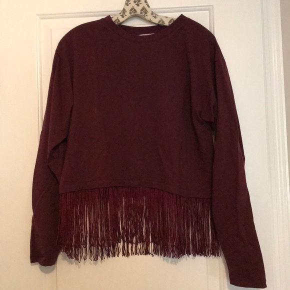 Zara Tops - Zara sweatshirt with fringe
